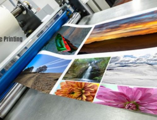 5 Tips to Find Professional Printing Services for Your Business